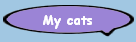 My cats